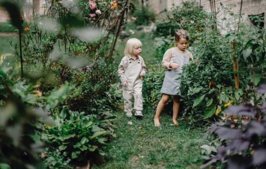 Houd je tuin sprankelend groen: de beste tips voor het sproeien van je tuin